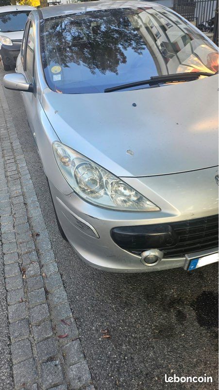 Peugeot 307 1.6 16v essence – 166 644 km – 5 portes (image 8)