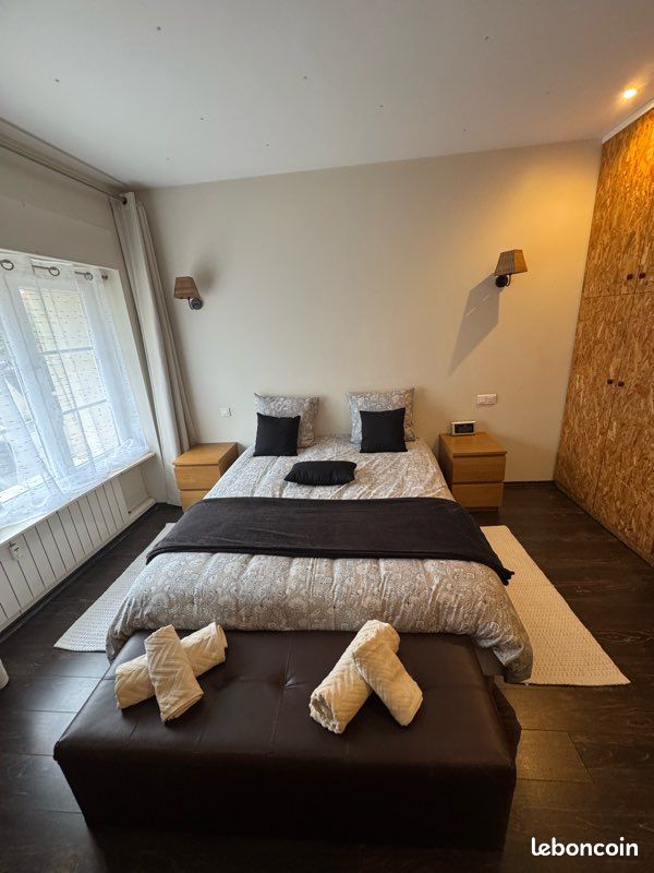 Appartement cœur triangle d’or (image 3)
