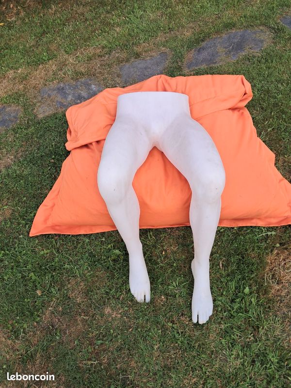 Vend divers pouf de jardin (image 5)