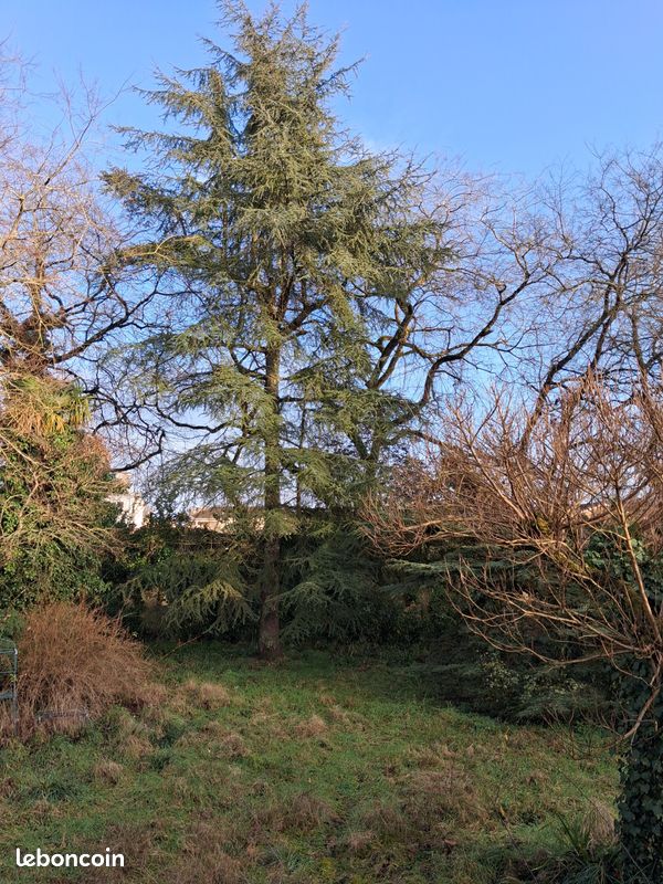 Maison 6 pièces 200 m² · à Mont-de-Marsan · 200 m² · 390 000 €