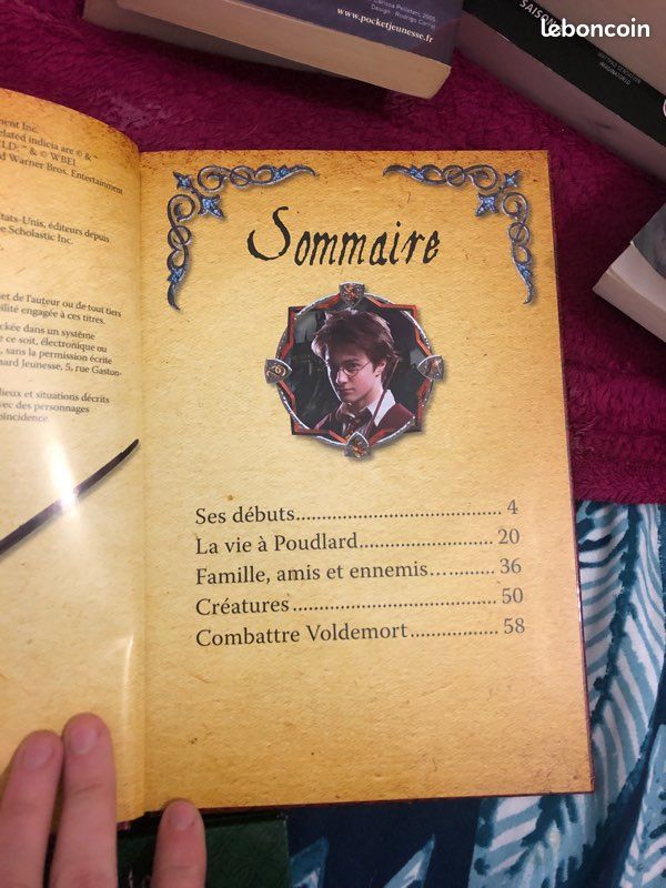 Livre harry potter (image 6)