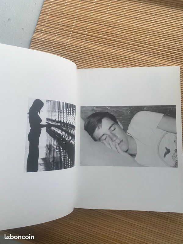 School spirit -pierre huyghe, douglas coupland , rencontre (image 6)