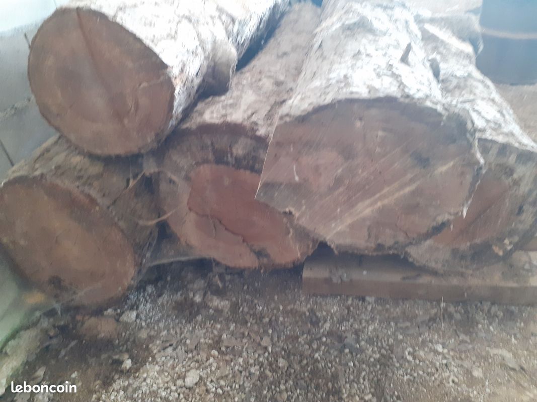 Bois (image 4)