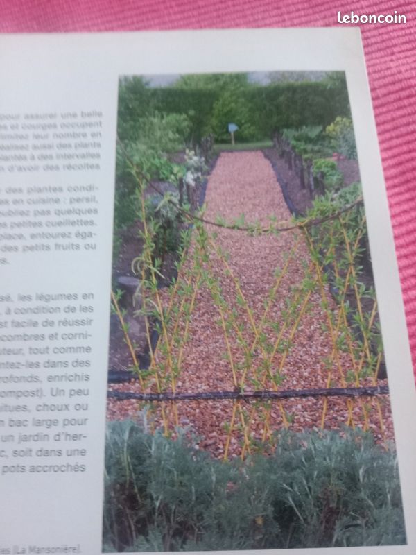 Le jardin bio pour les débutants (image 11)