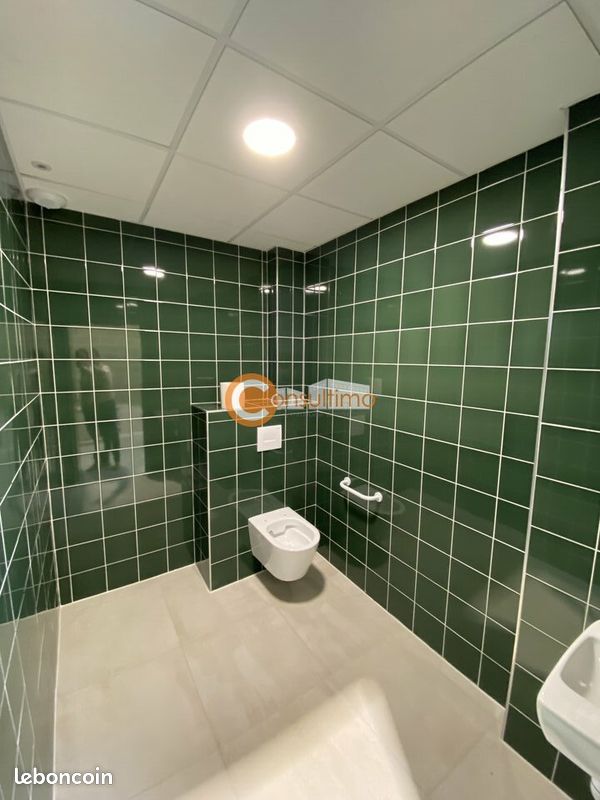 LOCAL D'ACTIVITE 782 m² MIOS (image 9)