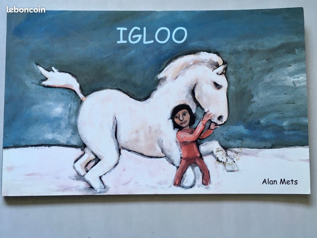 L’école des loisirs – Alan Mets – Igloo - Livre illustré - 6 à 8 ans (image 1)