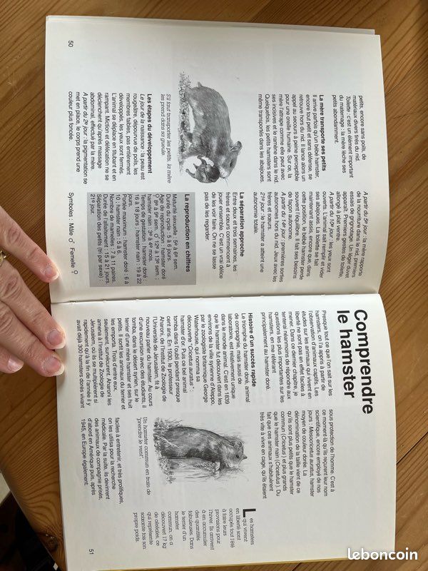 Livre hamster (image 5)