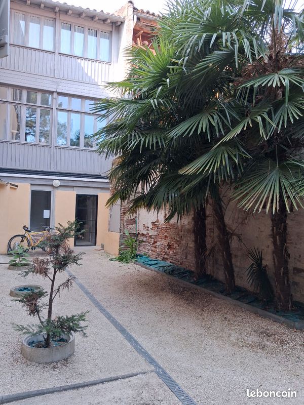 Appartement 1 pièce 21 m² · à Montauban · 21 m² · 490 €