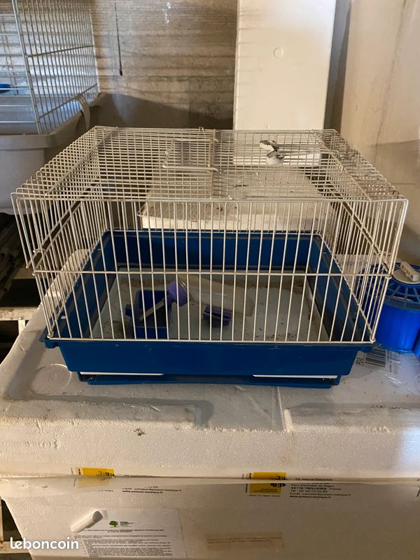 Cage rongeurs (image 2)