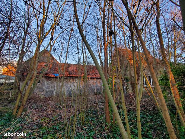 Terrain 970m2 avec maison ruine 100m2 constructible viabilisé (eau, électricité, égout, fibre internet)