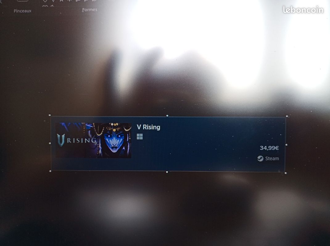 Jeux PC Steam V Rising (image 1)