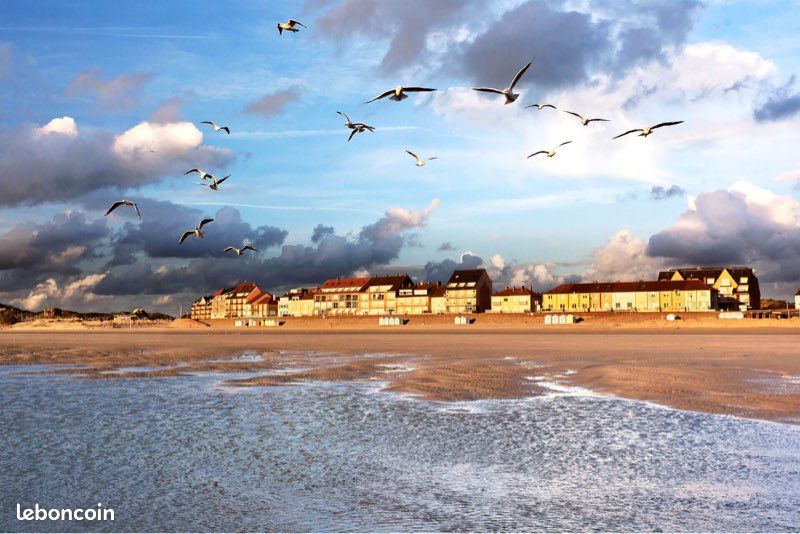 50 m de la plage (image 10)
