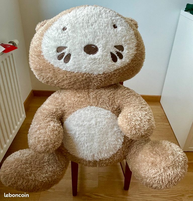 Ours en peluche (image 1)