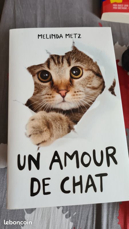 Un amour de chat (image 1)