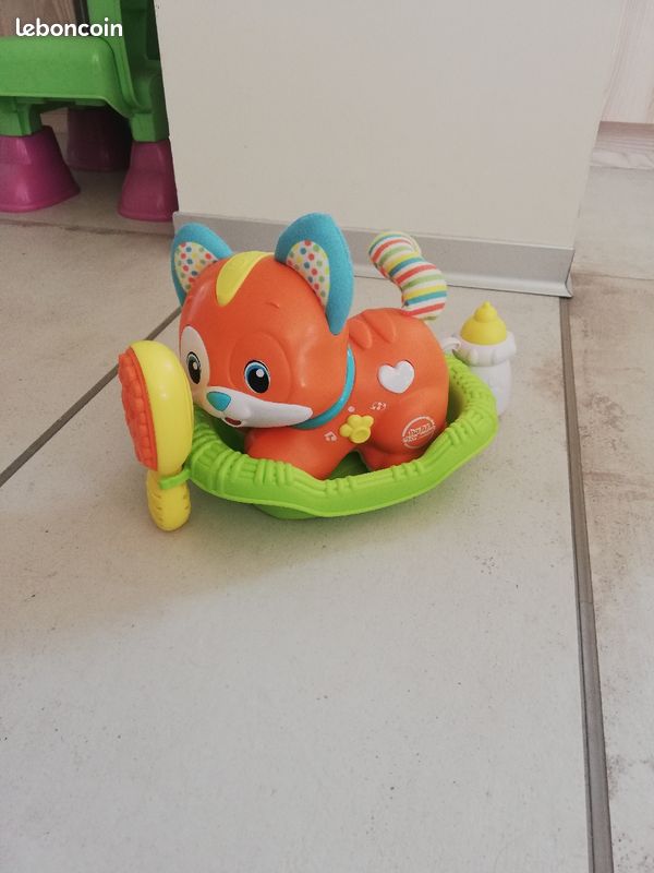Chat orange (image 1)