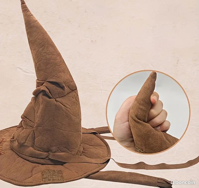 Chapeau de Poudlard dans Harry Potter (image 3)