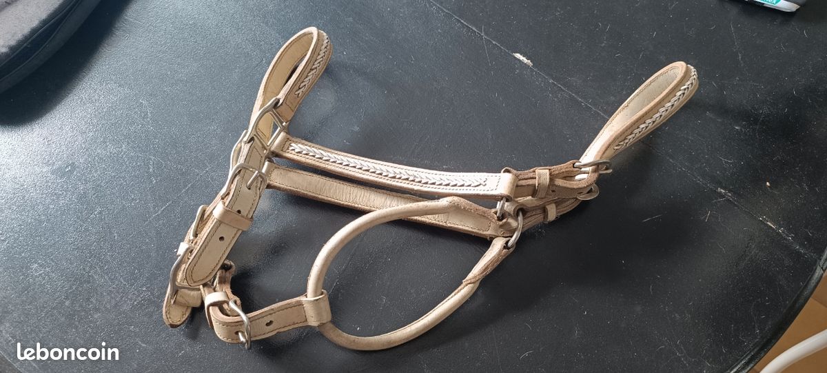 Licol cuir blanc (image 1)