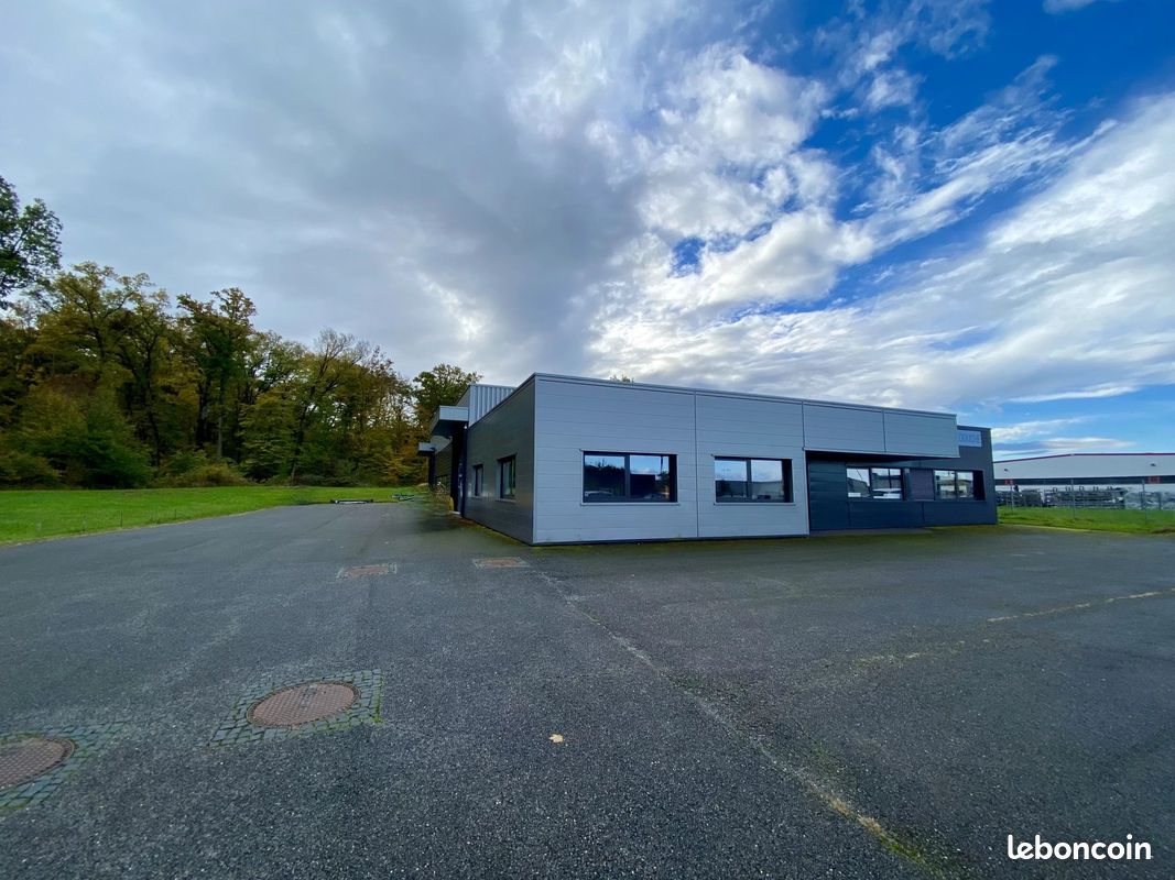 Immeuble 650 m² · à Sarreguemines · 650 m² · 985 000 €