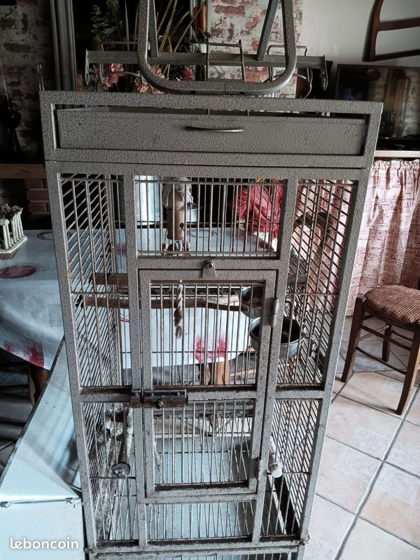 Cage a oiseaux (image 1)