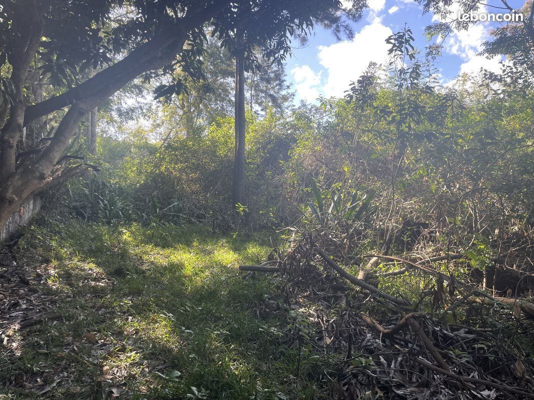 Terrain 845 m² · à Le Tampon · 845 m² · 162 000 €