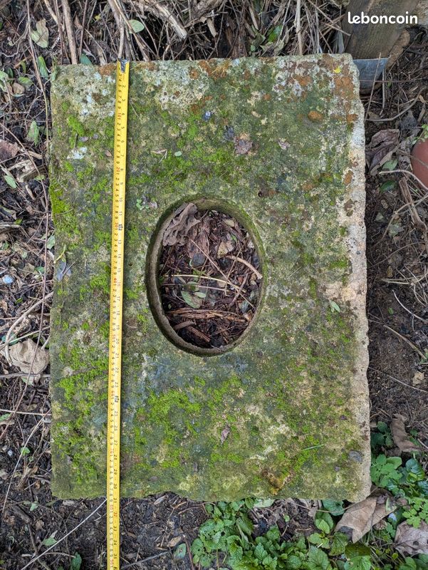 Oeil de bœuf (image 2)
