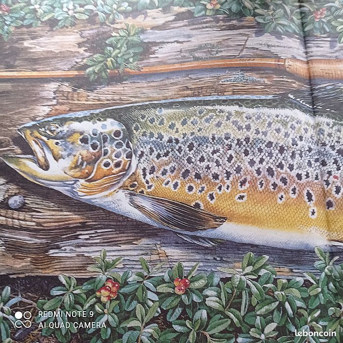 Illustration de pêche à la mouche, scène de rivière de montagne, art de pêcheur au lever du soleil - France Illustration de pêche à la mouche, scène de rivière de montagne, art de pêcheur au lever du soleil - France