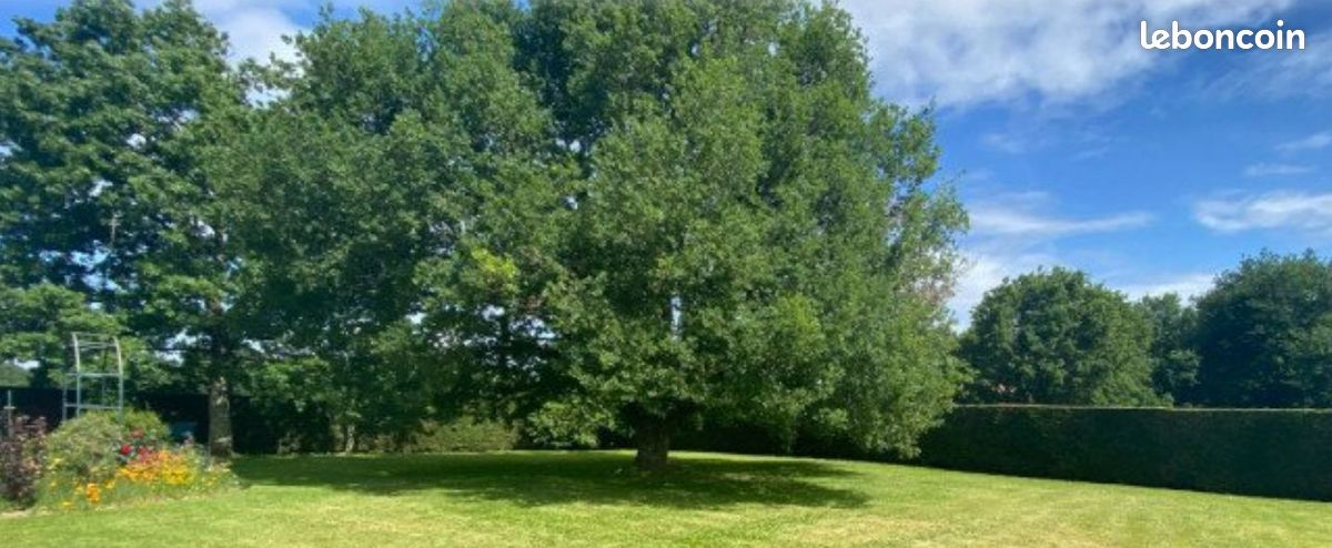 Terrain 380 m² Preignac · 57 000 €
