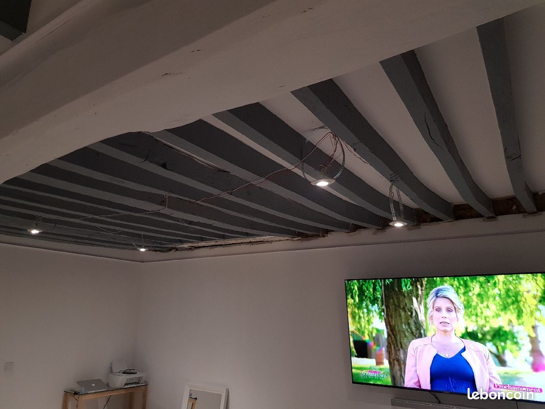 Plafond tendu (image 3)
