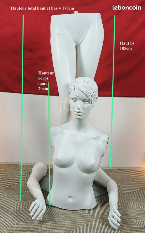 Mannequin Vitrine Femme - Taille 36-38, Hauteur 175 Cm, Base Verre Et Support Aluminium