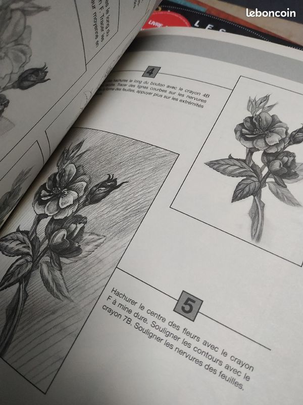 Les bases du dessin au crayon (image 3)