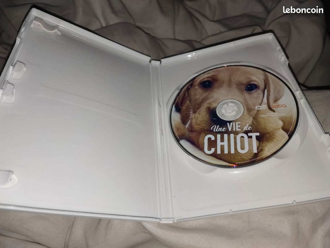 Une vie de chiot (image 3)