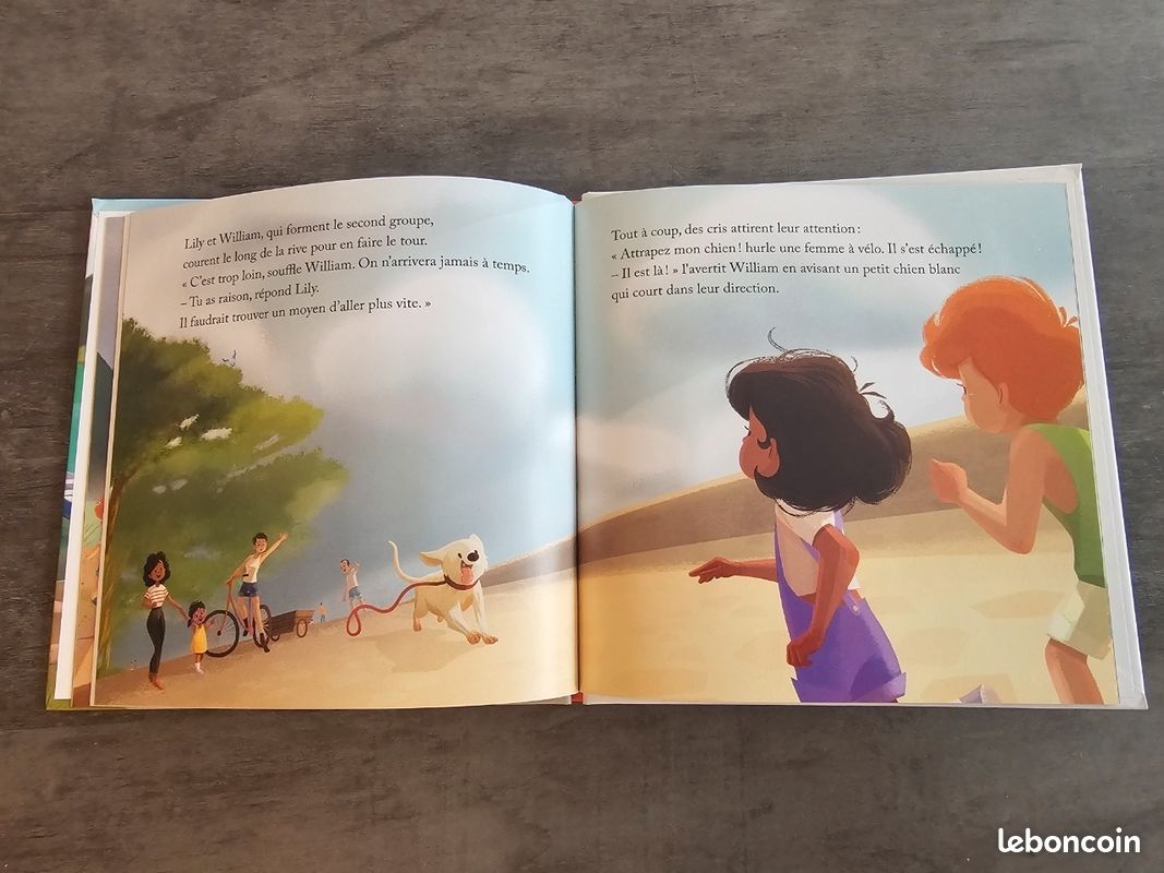 Livre " le lac d'Annecy" (image 4)