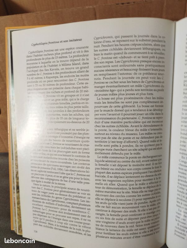 Les cichlides du Tanganyika dans leur milieu naturel, ad konings (image 4)