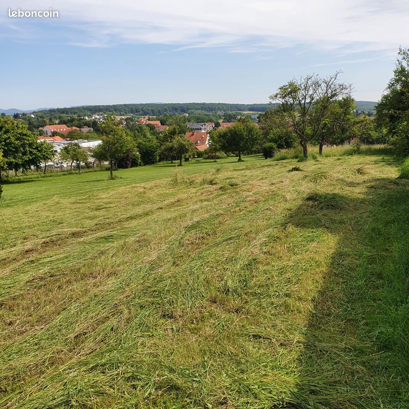 Terrain constructible · à Bouxwiller · 64 000 €