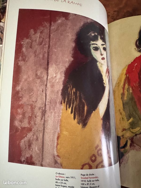 Livre d’art Van Dongen Fauve Anarchiste Mondain (image 6)