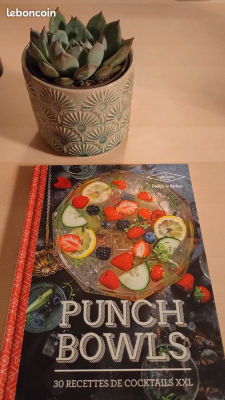 Livre cocktail 🍹 (image 1)