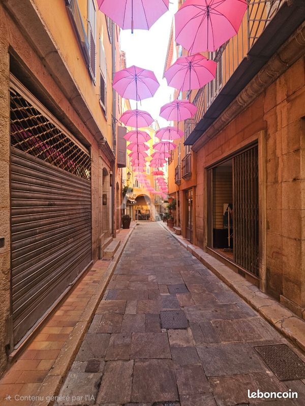 Local commercial 46 m² GRASSE (image 8)