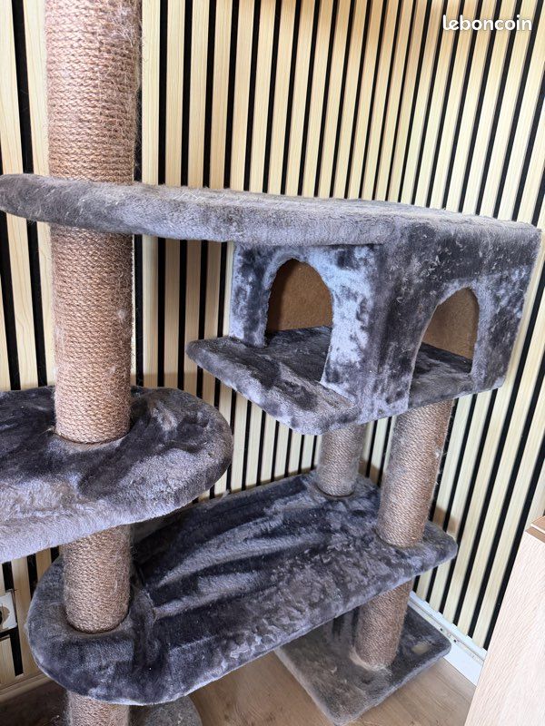 Arbre à chat (image 1)