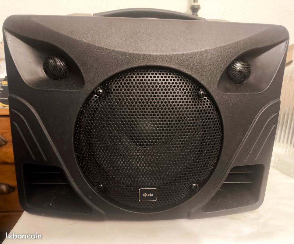 Sono portable QTX Bluetooth + 2 micros sans fil + housse (image 1)