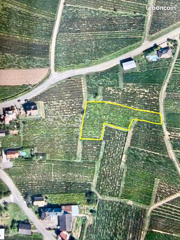 VIGNES à vendre · à Gueberschwihr · 26 500 €