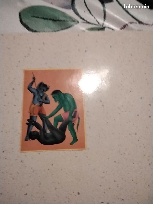 Chefs d œuvre de la miniature indienne (image 2)