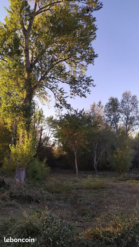 Maison 300 m² · à Revel · 300 m² · 128 000 €