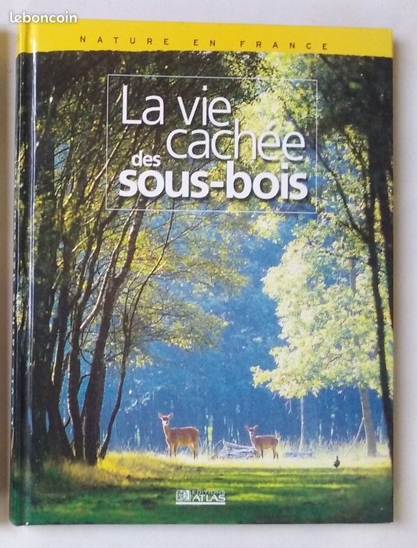 Beau Livre La Vie cachée des sous-bois (image 1)