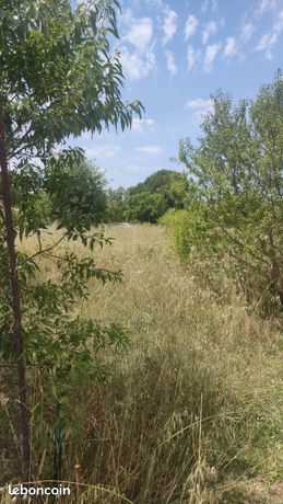 Terrain constructible
