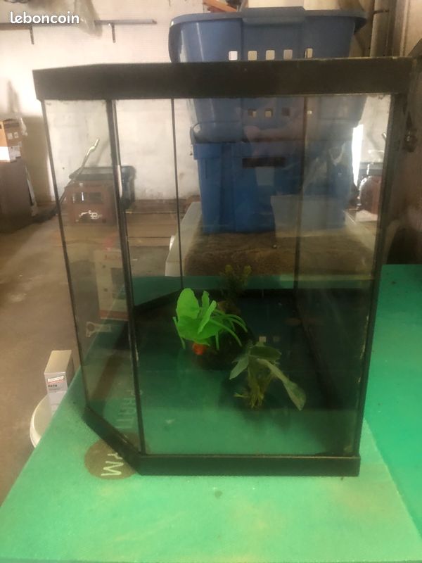 Aquarium avec déco (image 2)