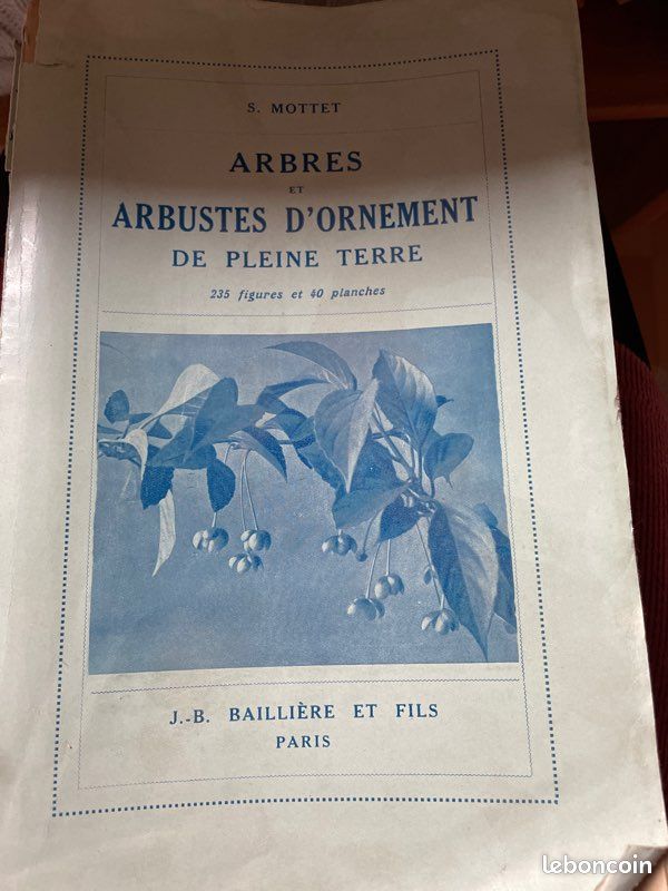 Livre ancien Arbres et arbustes d’ornement de pleine terre (image 1)