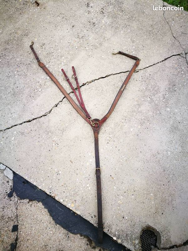 Collier de chasse CWD (image 2)