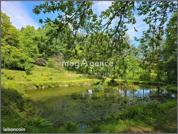 Terrain 30695 m² Saint-Mars-sur-la-Futaie