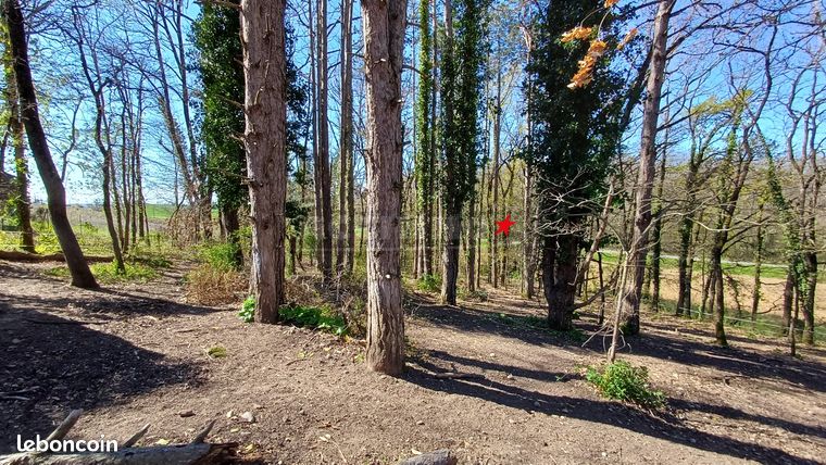 Terrain 2393 m² CABANES