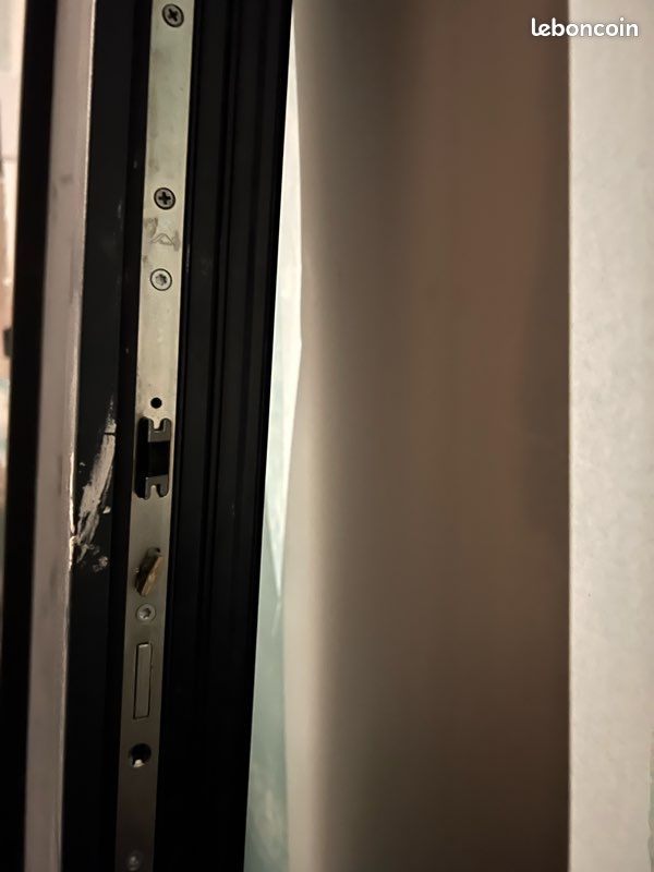 Porte d’entrée en Alu (image 4)